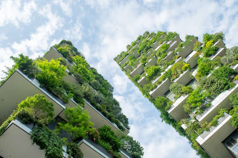 immeuble végétalisé